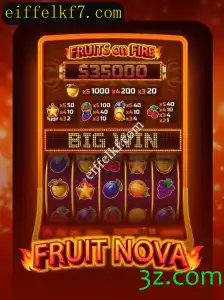 Explorando o Universo de FruitNova: Um Guia Completo Sobre o Jogo Inovador